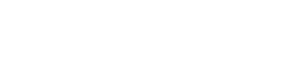 VIVILINE